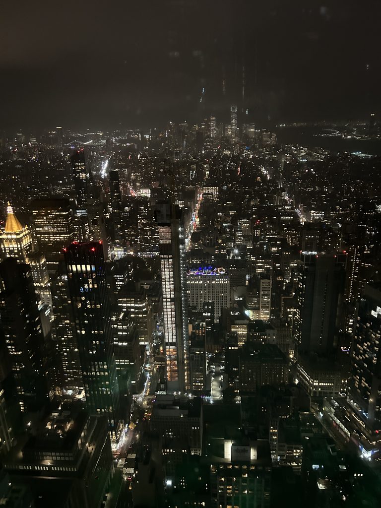 Ausblick vom Empire State Building
